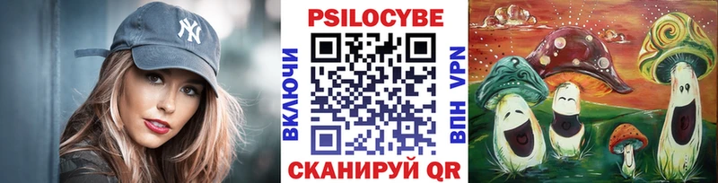 Купить закладки  Гай  Галлюциногенные грибы ЛСД 