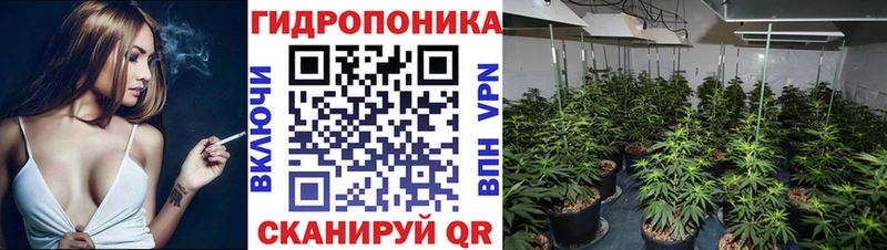 Бошки Шишки конопля  Купить закладки  Гай 